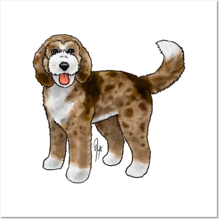 Dog - Bernadoodle - Red Merle Posters and Art